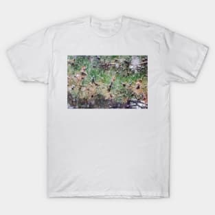 Snow and Pine Cones T-Shirt